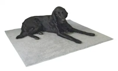 Produktbild von Antirutsch-Thermoteppich 125x80cm