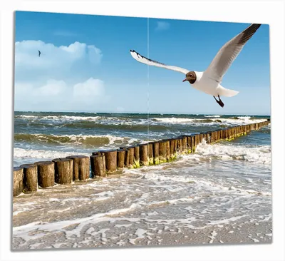 Produktbild von Wallario Herdabdeckplatte aus Glas, Größe 60 x 52 cm 2-teilig, Motiv Fliegende Möwe am Strand