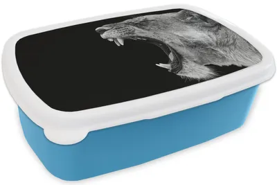 Produktbild von KitchenYeah® Lunchbox Brotzeit Brotdose 17x11 cm Tiere - Löwe - Schwarz - Weiß - Porträt Kinder Brotzeitdose - Lunch - Kunststoff  - Brotbüchse - Sandwichbox - Lunchbox für Kinder