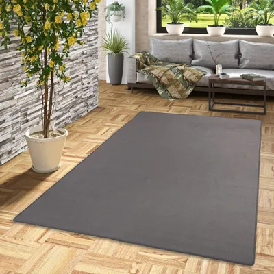 Produktbild von Basic Velours Teppich Carla Anthrazit, Größe:200x200 cm