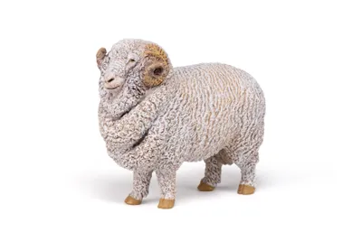 Obrázok produktu pre Papo 51174, 3 rok / roky, Farmyard friends, Biela, PVC