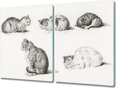 Produktbild von Coloray Küchenbrett Kochplattenabdeckung Hackbrett Schneidebrett Herdabdeckplatte 2x40x52 cm - Tiere Katzen