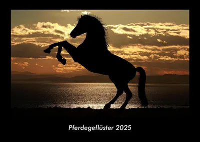 Produktbild von Pferdegeflüster 2025 Fotokalender DIN A3