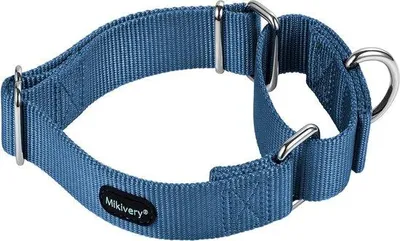 Produktbild von Famanu Hundehalsband mit buntem, metallischem Design - für kleine, mittelgroße und große Hunde