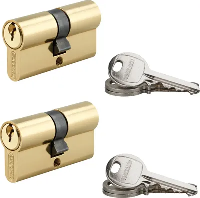 Image de Lot de 2 cylindres SA laitonné, 30X30mm, s'entrouvrant, 6 clés - THIRARD