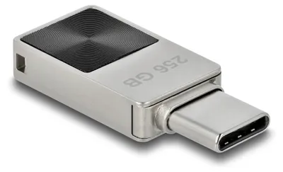 Obrázok produktu pre DeLOCK 54009, 256 GB, USB Typ-C, 3.2 Gen 1 (3.1 Gen 1), 117 MB/s, Bez krytu konektora, Čierna, Šedá