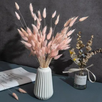 Produktbild von Famanu Pampasgras 120 Stück - Rosa, Trockenblumen für Dekoration