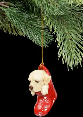 Produktbild von Christbaumschmuck Hund - Labrador im Strumpf