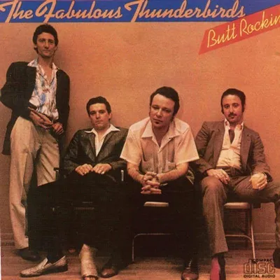 Obrázok produktu pre The Fabulous Thunderbirds: (CD / B)