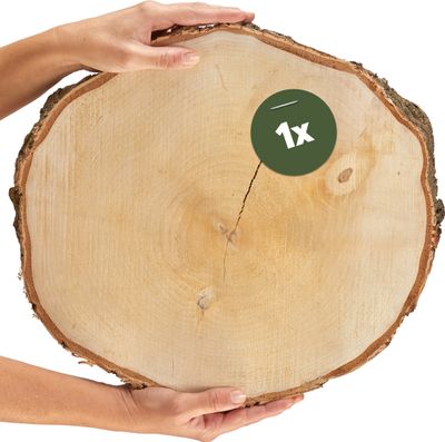 Grosse Baumscheiben Birke Holz-Platten Holzscheiben in ca. 40 cm