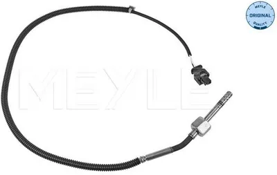 Image de Capteur, Abgastemperatur