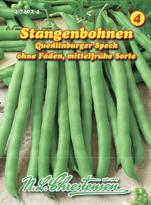 Produktbild von Stangenbohne Quedlinburger Speck | Stangenbohnensamen von N.L. Chrestensen