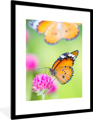 Produktbild von MuchoWow® Gerahmtes Poster Insekten - Schmetterlinge - Blumen 60x80 cm - Poster mit Schwarzem Bilderrahmen Wandposter Rahmen Foto Bilder - Wohnzimmer - Dekorationen - Prämie