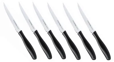 Zdjęcie produktu dla Tescoma 862024, Nóż do steku, 12 cm, Stal nierdzewna, 6 szt.