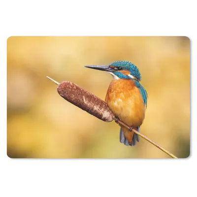 Produktbild von MuchoWow® Schreibtischunterlage Eisvogel - Natur - Vogel 60x40 cm - XXL Mauspad - Großes Mauspad