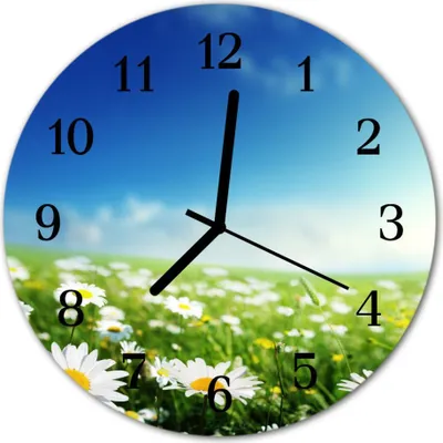 Produktbild von Glasuhr Wanduhr Küchenuhr Echt-Glas 30fi cm Wiese grün