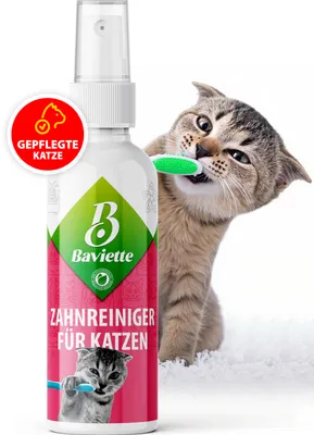 Produktbild von BAVIETTE Zahnpflege Spray 100 ml – bürstenfreie Maulpflege für Katzen mit Mikroorganismen, geruchlos