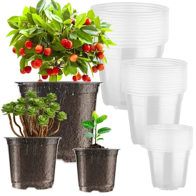 Image de Lot de 36 pots de culture transparents de différentes tailles