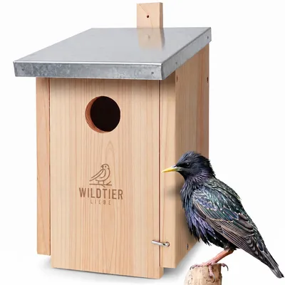 Produktbild von wildtier liebe Starenkasten Großer Nistkasten für Stare - Vogelhaus Nistkasten für Star aus Unbehandeltem Massiv-Holz, Starennistkasten Wetterfest und Artgerecht nach NABU