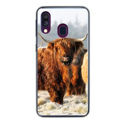 Produktbild von MuchoWow® Handyhülle Schutzhülle Hülle für Samsung Galaxy A40 Schottische Highlander - Schnee - Wald Silikon Softcase Handy Hülle - Handy-Tasche