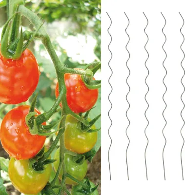 Produktbild von 5er Set Tomatenspiralstäbe Rankhilfe 110 cm Tomaten Pflanzstäbe Spiralstäbe aus verzinktem Stahl Rankspirale Tomatenstäbe Rankstäbe
