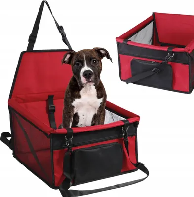 Produktbild von PETSTORY Auto-Transporter für Hunde, schwarz, S/M