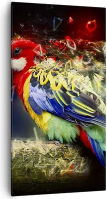 Produktbild von Bild auf Leinwand - Leinwandbild - Papagei Vogel Feder - 55x100cm - Wand Bild - Wanddeko - Leinwanddruck - Bilder - Kunstdruck - Wanddekoration - Leinwand bilder - Wandkunst - PA55x100-3682