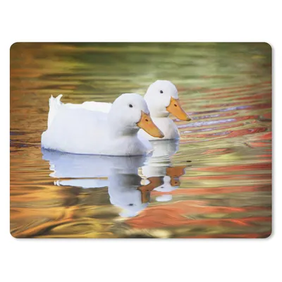 Produktbild von MuchoWow® Mauspad Mousepad Enten - Wasser - Spiegelung - Familie 23x19 cm - Mousepads - Maus Mat - Pad - Mausunterlage - Schreibtischunterlage - Mauspad