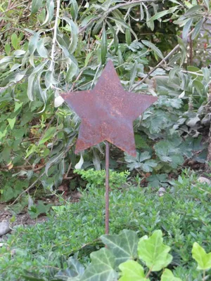 Immagine prodotto di Tappo da giardino in acciaio inox chiuso a stella, piccolo