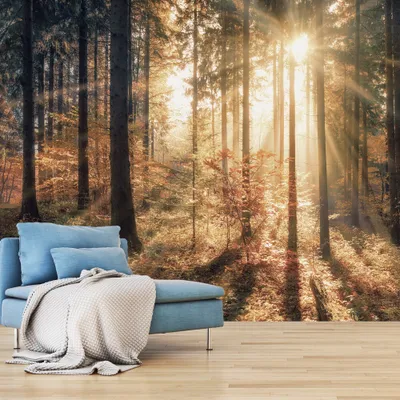 Produktbild von Basera Selbstklebende Fototapete Waldmotiv c-B-0162-a-d, mit UV-Schutz, 343x245 cm