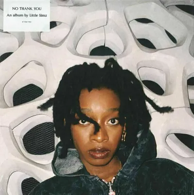 Zdjęcie produktu dla Little Simz - No Thank You (Clear Coloured) (2 LP)