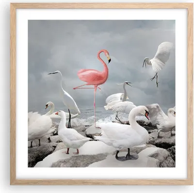 Produktbild von Gerahmtes Poster - Rahmen in heller Eiche - Flamingo Schwan Fantasie - 50x50 cm - Wand Bild - Wanddeko - Wandbilder - Kunstposter - Wandposter - Bilderrahmen - Bilder - Kunstdruck - P2NAC50x50-4929