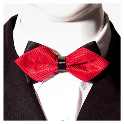 Produktbild von Herren Fliege im Retro Look, vorgebunden und längenverstellbar