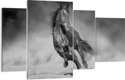 Produktbild von Bild auf Leinwand - Leinwandbild - 4 Teile - Pferd Galopp dynamisch - 120x70cm - Wand Bild - Wanddeko - Wandbilder - Leinwanddruck - Bilder - Wanddekoration - Leinwand bilder - DL120x70-5023