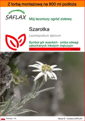 Zdjęcie produktu dla SAFLAX - Garden in the bag - Szarotka - 500 Nasiona - Z podłożem uprawowym w praktycznej, samorozkładającej się torbie - Leontopodium alpinum