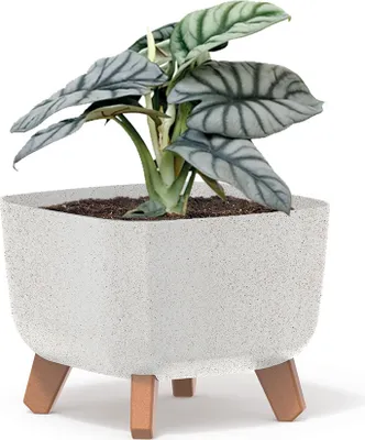 Produktbild von Prosperplast Blumentopf GRACIA SQUARE Eco Wood Weiß 39 cm