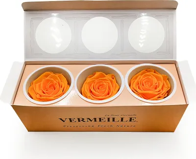 Produktbild von Stabilisierte Rose - Safrangelb - XL - 3 Stk