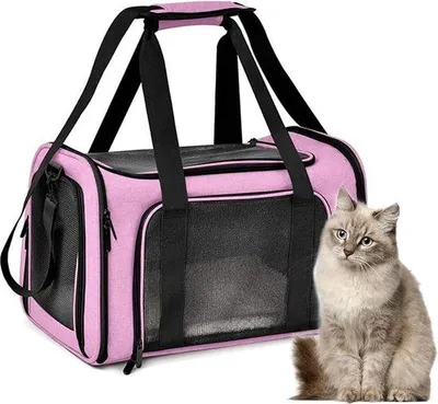 Produktbild von Famanu Transportbox für kleine Haustiere, Katzen, Hunde, Kaninchen - Groß