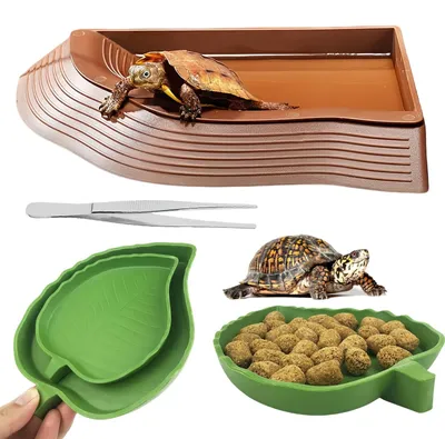 Productafbeelding van 4-in-1 Schildpad Waterkom Set voor Reptielen
