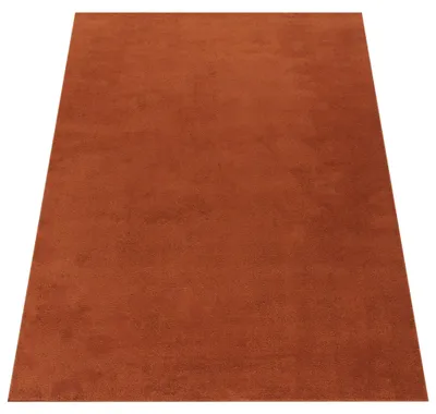 Immagine prodotto di Tappeto lavabile per soggiorno a pelo corto, tinta unita, stile moderno, morbido, arancione, dimensioni 300x400 cm