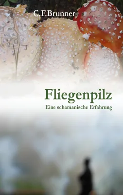 Produktbild von Fliegenpilz