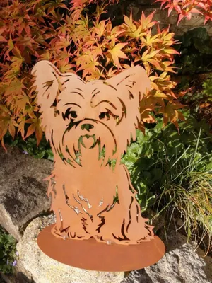 Image de Chien sur rouille Bello