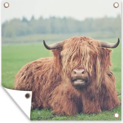Produktbild von MuchoWow®
