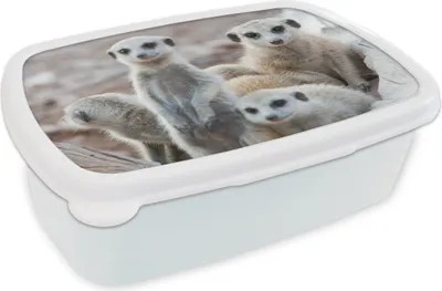 Produktbild von KitchenYeah® Lunchbox Brotzeit Brotdose 17x11 cm Neugierige Erdmännchen Kinder Brotzeitdose - Lunch Box - Kinder - Sandwich-Box - Schulbox - Lunch Boxen
