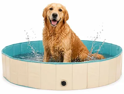 Produktbild von Hundeplanschbecken Hundepool Haustierpool - 160 x 30 cm - Faltbar - Hartplastik