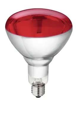 Produktbild von Philips Infrarotlampe BR125 IR 150W E27 230-250V Red