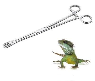 Produktbild von RVS-Futterklammer für Reptilien