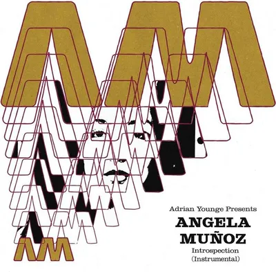 Image de Introspection (instrumentaux)