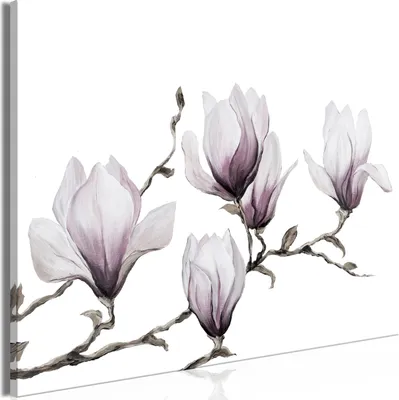 Produktbild von Italienischer Leinwand Leinwandbild - Painted Magnolias (1 Part) Wide 120x80 cm Blumen b-A-0541-b-a