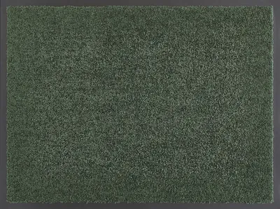 Produktbild von Eingangsmatte dunkelgrün 90x150cm